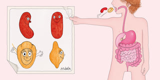 Album jeunesse maternelle sur la digestion : le guide complet pour l'expliquer à votre enfant dès 4 ans (avec activités et sélection de livres)