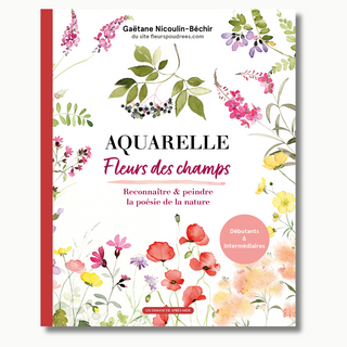 Aquarelle, fleurs des champs