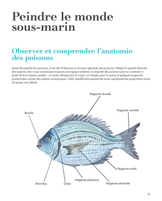 Aquarelle merveilles des fonds marins