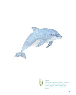 Aquarelle merveilles des fonds marins