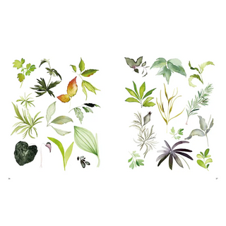 Aquarelle beautés vénéneuses - Beaux-arts - Fleurs.poudrees