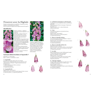Aquarelle beautés vénéneuses - Beaux-arts - Fleurs.poudrees