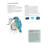 Aquarelle oiseaux des jardins et forêts - DIY