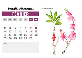 Calendrier 2026 Aquarelle beautés vénéneuses