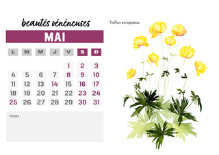 Calendrier 2026 Aquarelle beautés vénéneuses